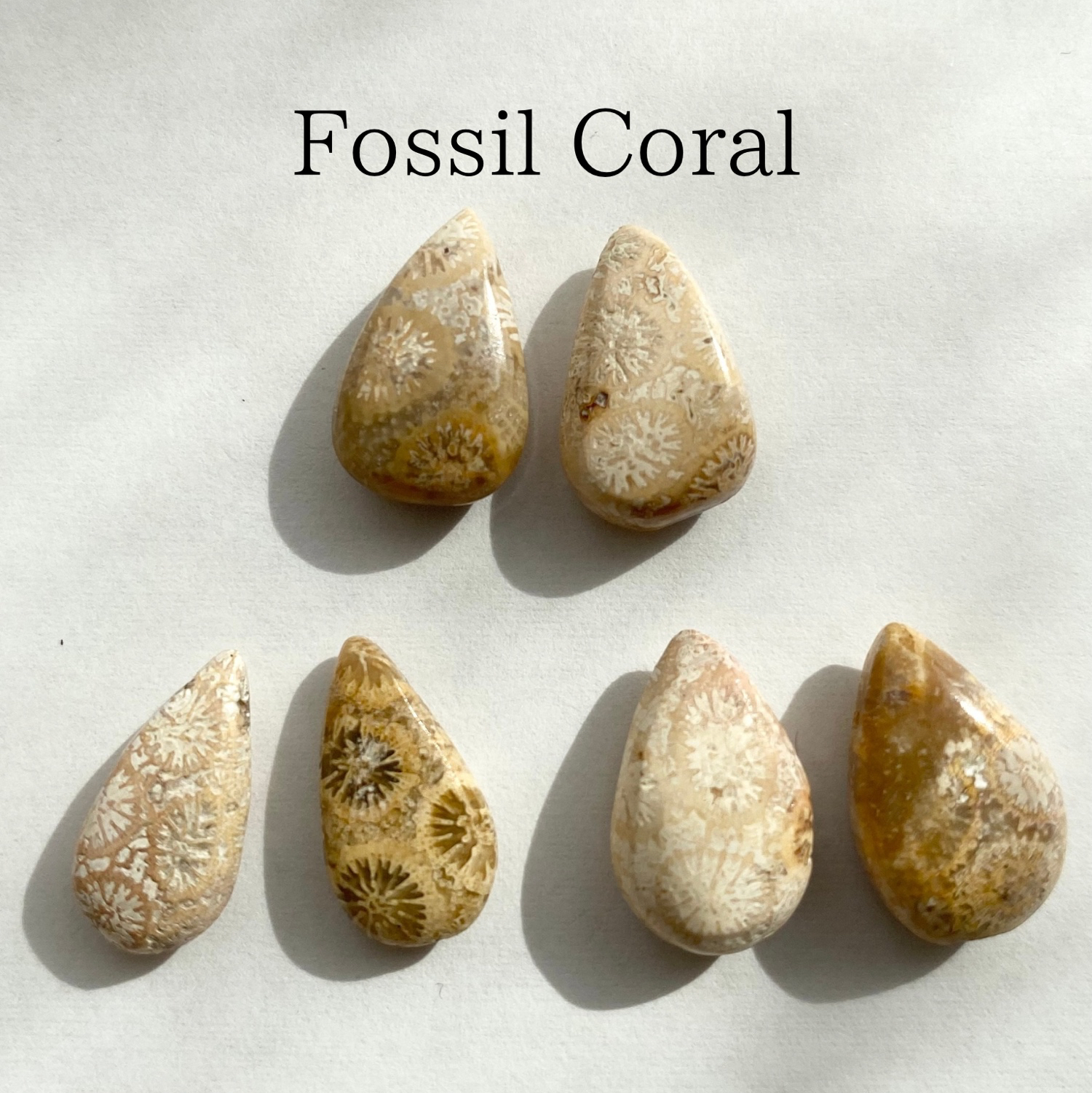 新作♡特大フォッシルコーラル、ピンク阿拉善瑪瑙、マザーオブパール 新作♡特大フォッシルコーラル、ピンク阿拉善瑪瑙