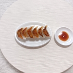 餃子☆ミニチュアフード