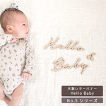 ◉送料込◉木製 ウッドレター Hello Baby No.5シリーズ | ニューボーンフォト