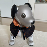ハロウィンマント🧛