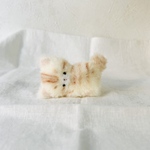 受注制作＊コロンと転がりそうな子猫のコロンちゃん＊茶トラ