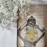 3-ゼリーボックスキーリング