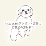 印刷ラッピング券