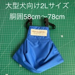 【青】大型犬向け　2Lサイズ