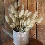 ラグラス(短) 100本♪ 長さ15〜20cm ドライ花材