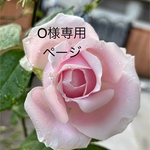 O様専用ページ