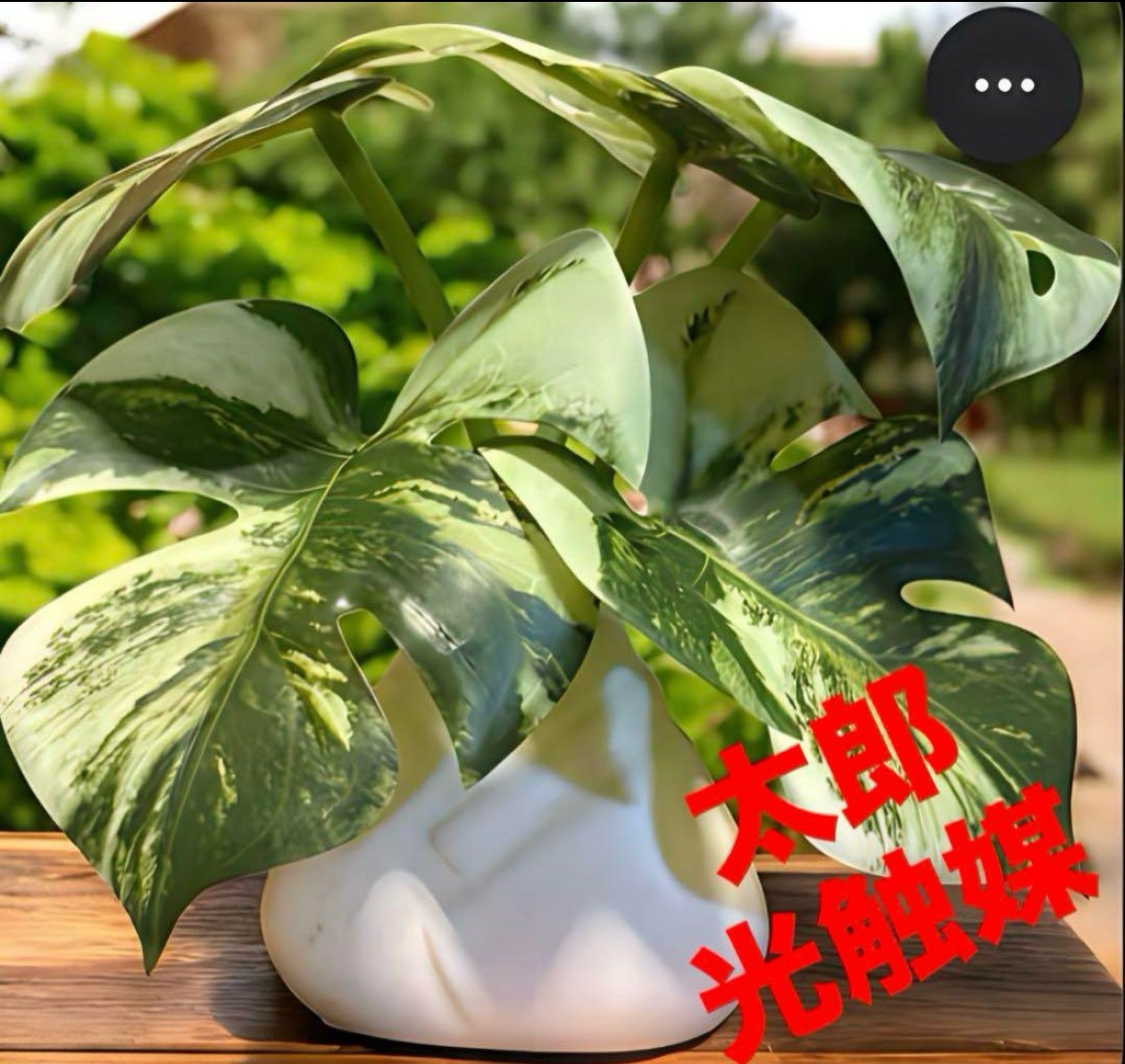 光触媒　人工観葉植物　ウォールグリーン　フェイクグリーン　スパティフィラム 80 光触媒 人工観葉植物 ウォールグリーン フェイクグリーン 壁掛け