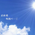 お客様専用ページ❣️