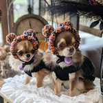 犬 SSサイズ ハロウィン 帽子 ♡ 猫 ペット かぼちゃ ゴースト 犬かぶりもの 被り物 ぽんぽん ニット 帽子 犬帽子 ニット帽  リボン ハット 記念日 アクセサリー