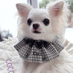 black check cape 細ホワイトレースtype ♡ / うちの子刺繍/スタイ/ケープ/ネーム/バースデースタイ/お誕生日スタイ/ おしゃれ/犬/猫/Halloween/お誕生日