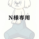 N様専用ページです。