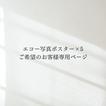 エコー写真ポスター5点ご希望のお客様専用