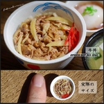 【ミニチュアフード】牛丼★受注生産品★