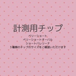 計測用チップ