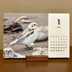 【卓上】2026かわいい野鳥カレンダー