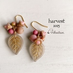 harvest2025 曖昧な果実