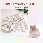 レッド🍓 野いちご柄のワンピース/ミニ裏毛 /犬服