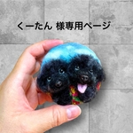 くーたん様専用ページ「双子のトイプードルちゃん」