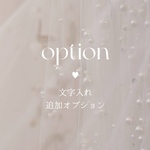 option𖧷文字入れ追加オプション