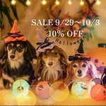 ハロウィンハット　犬　猫