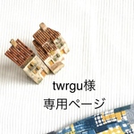 twrgu様専用ページ（fikago agil2）
