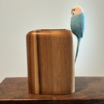 セキセイインコとペンスタンド