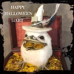 ☆本日限り20%off☆ハロウィンガマグチヨタカ🎃