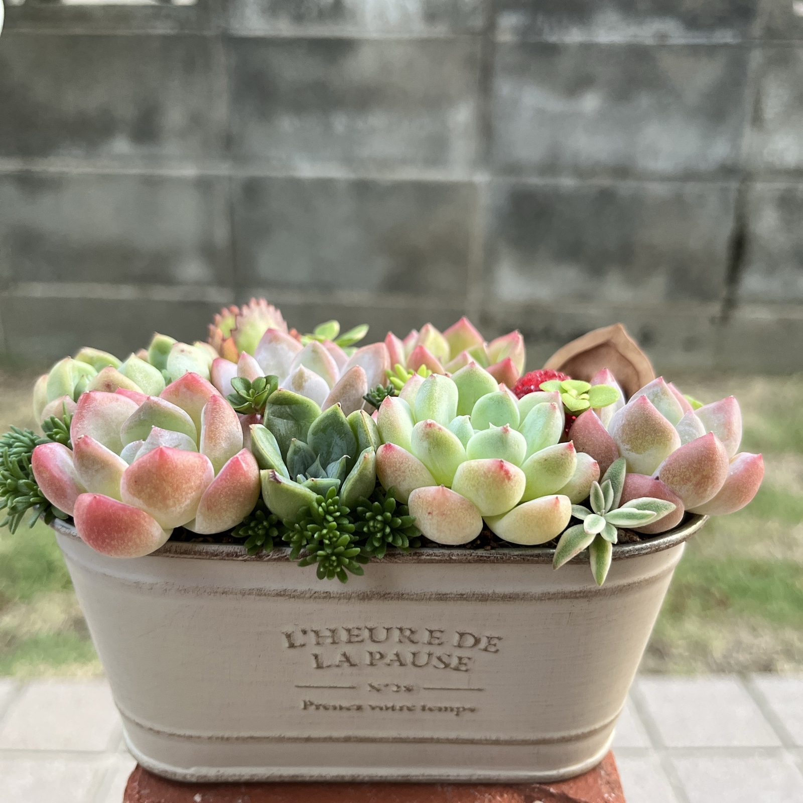 ☆送料無料☆♡そのまま飾れる♡クリスマス☆彡雪だるまの箱庭風多肉