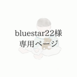 【bluestar22様 専用ページ】