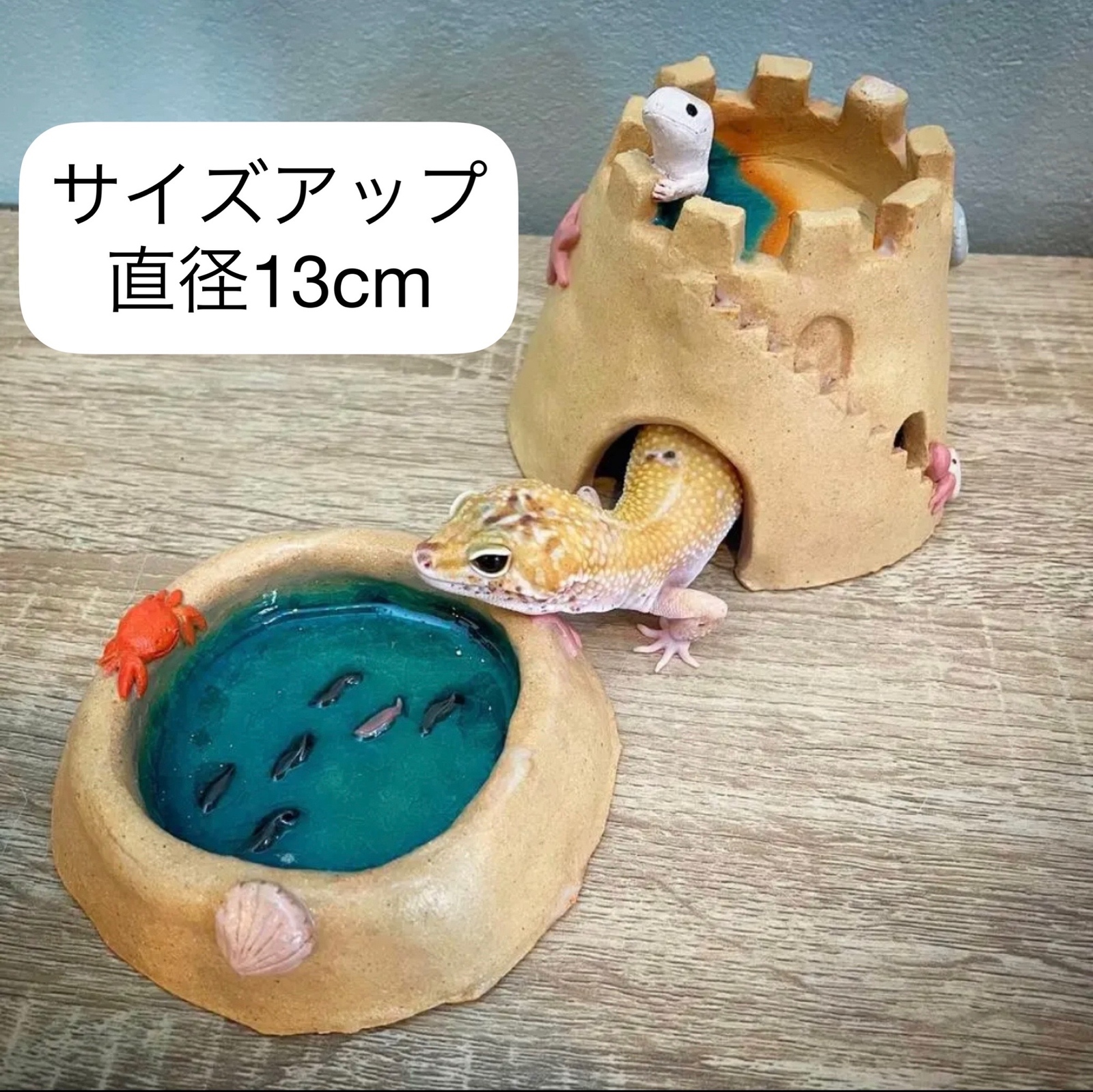 キノコ型爬虫類シェルター - KAMEKKO | minne byGMOペパボ 国内