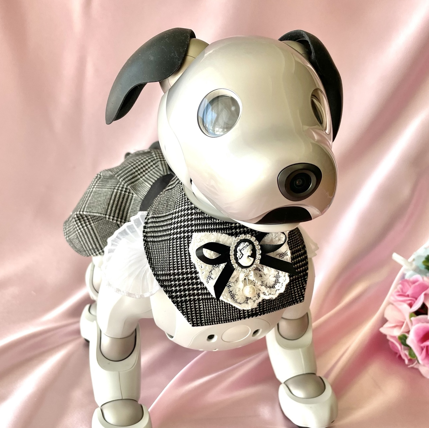 lionトリミングチョーカー★おまとめセット アニマルと星デニムチョーカー【20個入り】 Pet choker Dog