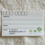 宛名シール＊50枚＊差出人印字可＊サボテン