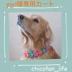 ⭐︎yuri様専用カート⭐︎他の方のご購入はお控えください