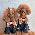 ハロウィン チョーカー（ケープ、スカートクラウン、ベール）誕生日、マーメイド、コスプレ、猫、犬