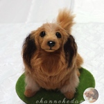 kskarmt様専用窓口　3D犬　ダックスオーダーメイド　羊毛フェルト　犬