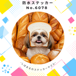 シーズー7cm防水ステッカー　シーズー好きさんへ　Shih Tzu 7cm waterproof sticker. Perfect for Shih Tzu lovers!
