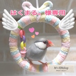 文鳥 ハンギング ツボ巣