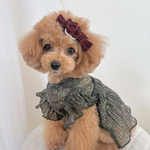 犬リボン　秋冬　ベロア　パール　JDバレッタ