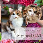  《贈り物に人気》羊毛フェルトで作るオーダーメイドのフレーム猫　メモリアル　ギフト　ペットロス　かわいい猫　Lサイズ