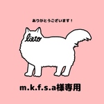 mkfsa様専用