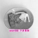 専用