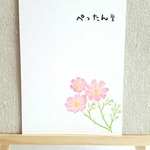 秋桜(コスモス)消しゴムはんこセット