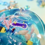 <キーホルダー>〜クラゲ〜シンデレラウミウシ