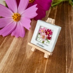 フラワーフレーム 10月の誕生花コスモス（ミニチュア、クレイフラワー）【単品またはセット】