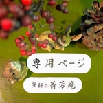 ponyo31742様  専用ページです（他の方はご購入できませんのでご注意下さい）