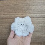 カクねこ【ファサまる・次男】