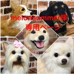 大きいうちの子オーダー