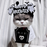 ハロウィンセット