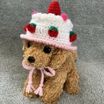 ケーキの帽子🎂お誕生日🎂小型犬用帽子・猫用帽子