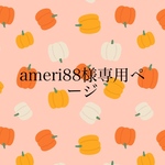 ameri88様専用ページ